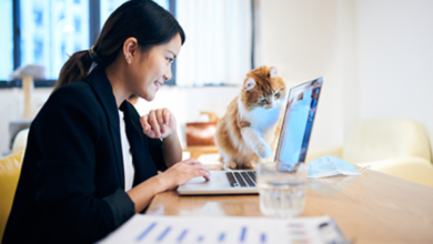 Work From Wherever: The Best Productivity Tools for Remote Workers Who Actually Get Things Done