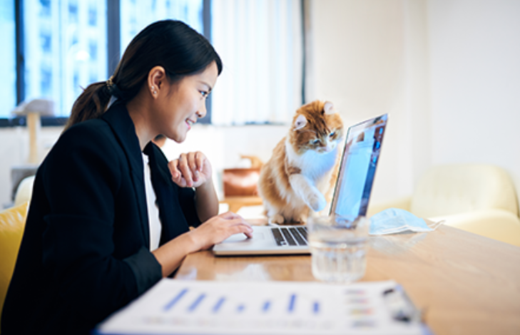 Work From Wherever: The Best Productivity Tools for Remote Workers Who Actually Get Things Done