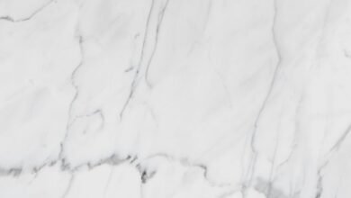 premium industry review summary