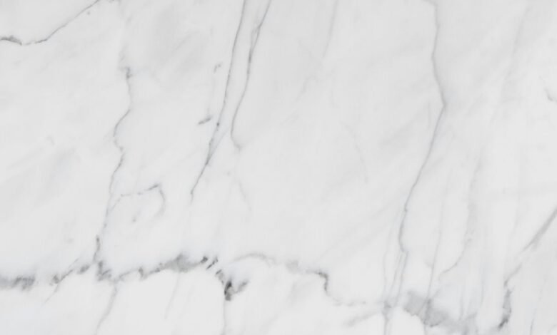 premium industry review summary